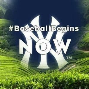 Meet your Posher, Maryann